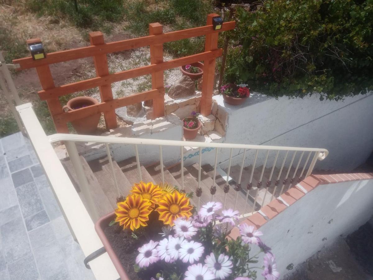B&B Bella Vista Dorgali Zewnętrze zdjęcie