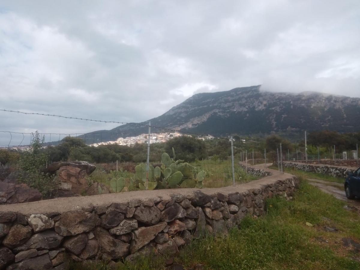 B&B Bella Vista Dorgali Zewnętrze zdjęcie