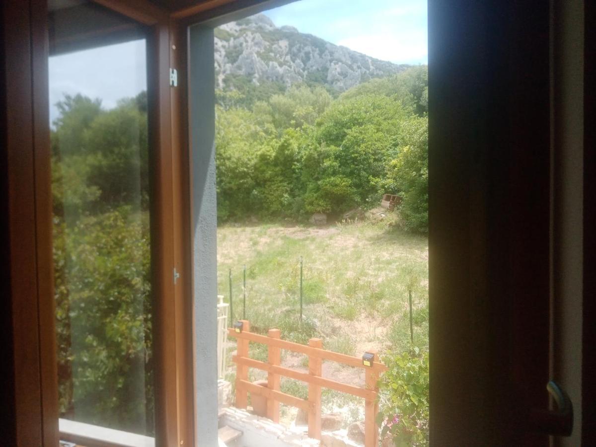 B&B Bella Vista Dorgali Zewnętrze zdjęcie