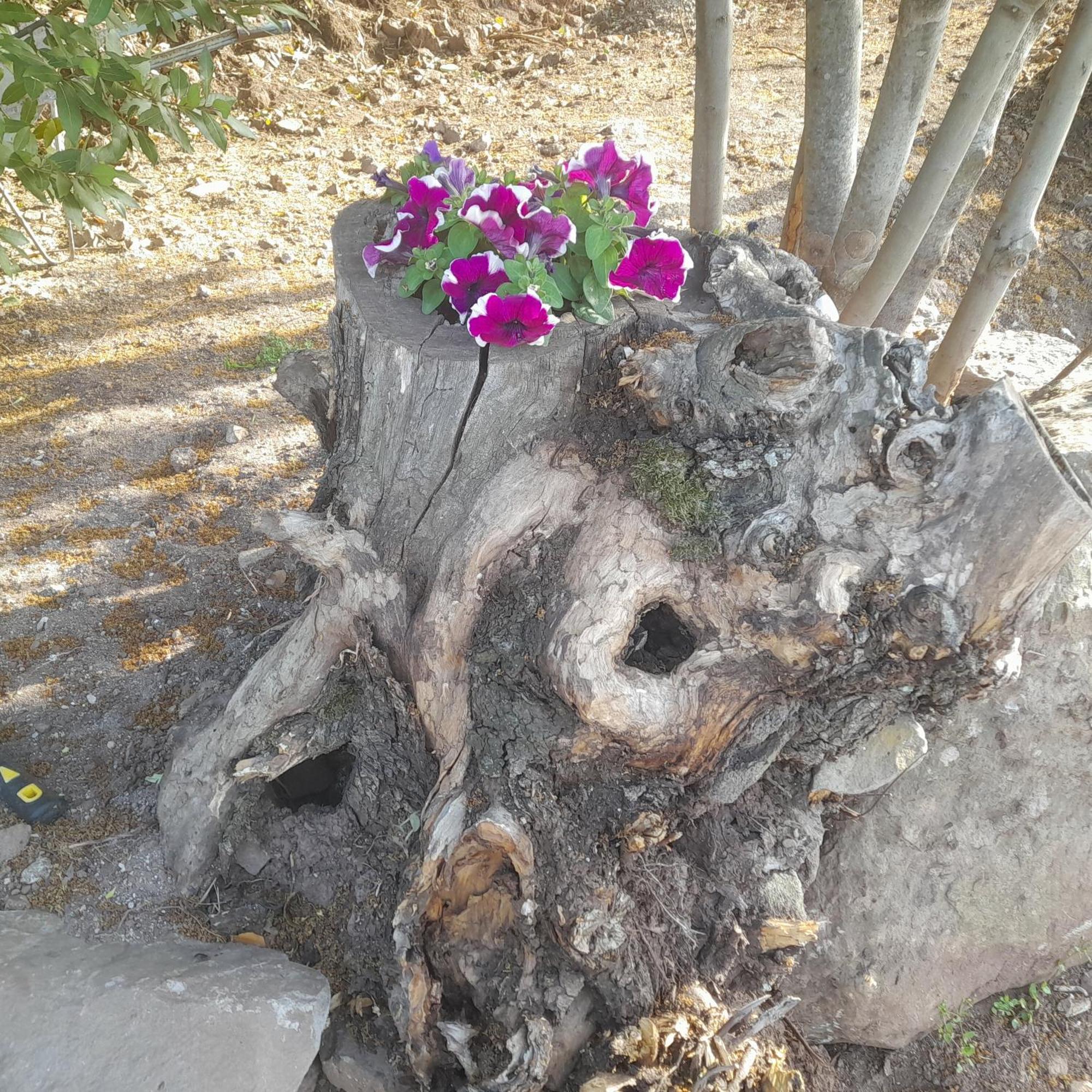 B&B Bella Vista Dorgali Zewnętrze zdjęcie