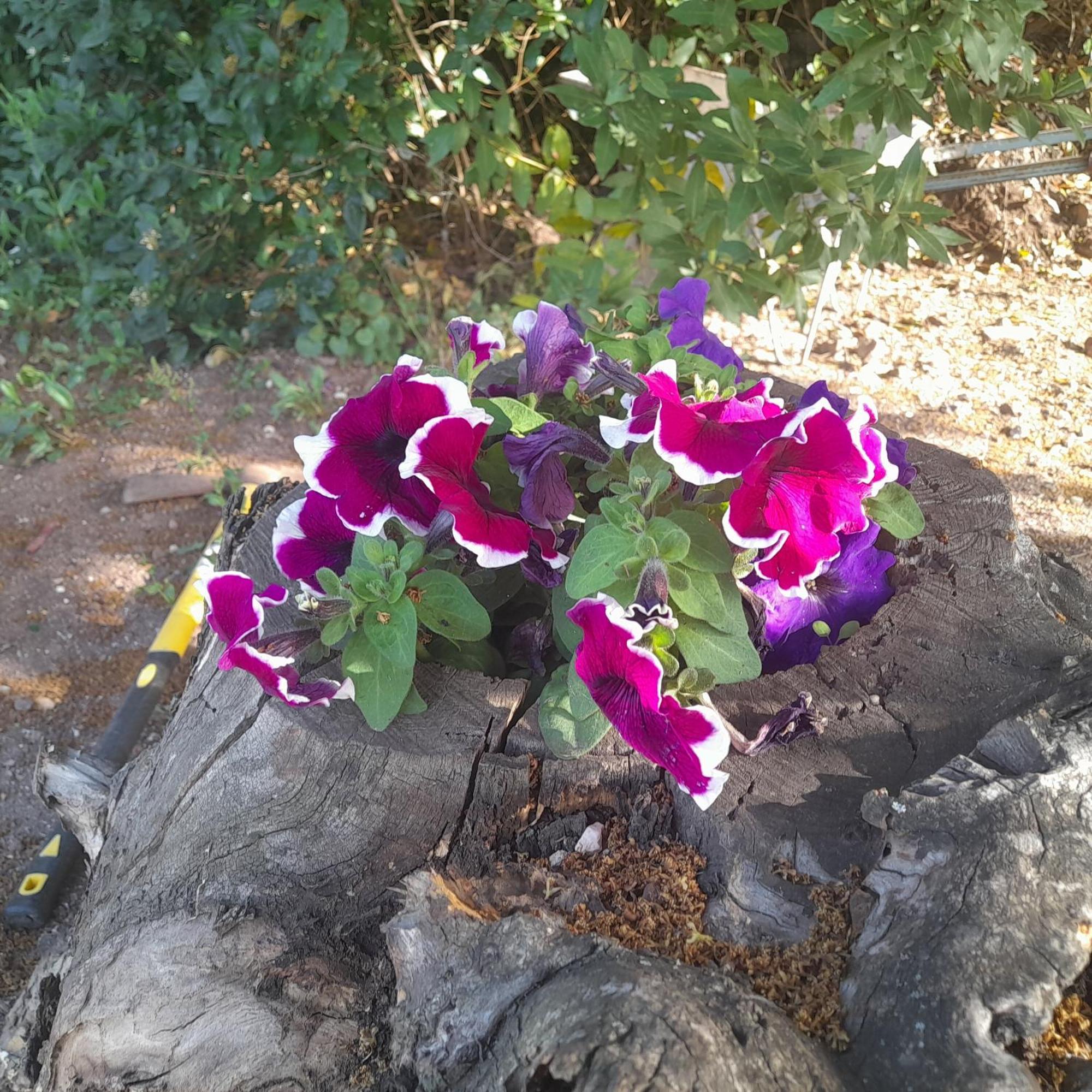 B&B Bella Vista Dorgali Zewnętrze zdjęcie